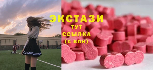 СК Алексин