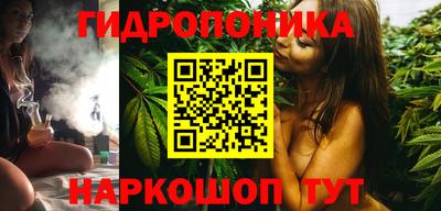 шишки Партизанск
