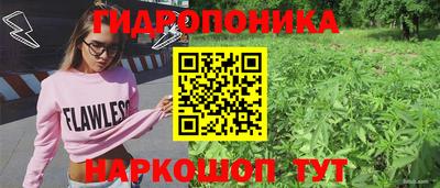 прущие грибы Пенза