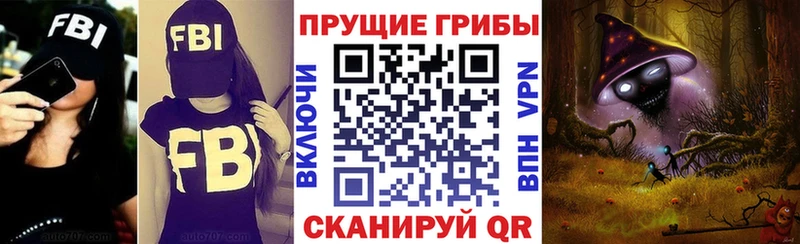 Галлюциногенные грибы Psilocybe  Тулун 