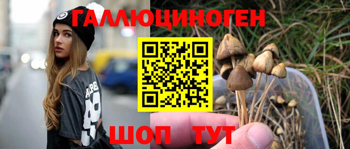Псилоцибиновые грибы ЛСД  Вход с VPN  Тулун 